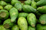 5. Green Prickly Pears