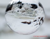 gooseberry crystal ball.jpg