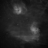 IC405 and IC410 - Tadpoles and Flaming Star nebulae in Ha