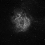 Rosette Nebula in Ha