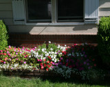 5b front planter flowers  copy.jpg