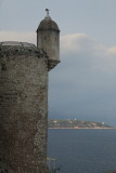 IMG_7119.JPG