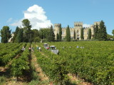 Chateau Neuf-du- Pape Region (SAM_4806.JPG)