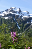 The Last Frontier... Alaska - Hiking of Alaska - 7/17/16