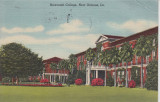Newcomb College