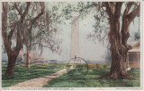 Chalmette Oaks and Monument 
