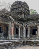 Ta Prohm temple, Siem Reap