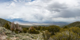 Great Basin N.P., Nevada