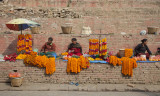 Marigold Sellers