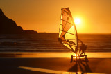 Sand Sailing Gold