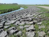 Between Holysloot and Durgerdam