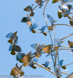 Metal Birds in the Breeze