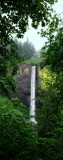 Latourell Falls, Guy W. Talbot State Park, Columbia River Gorge National Scenic Area, Oregon