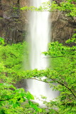 Latourell Falls, Columbia River Gorge National Scenic Area, Oregon