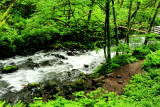 Bridal Veil Falls Creek, Columbia River Gorge National Scenic Area, Oregon