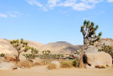 Joshua Tree National Park, California