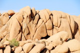 Jumbo Rocks, Joshua Tree National Park, California