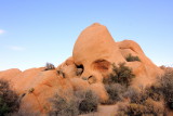 Skull Rock, Joshua Tree National Park, California