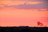 Sunset, 29 Palms, Joshua Tree National Park, California