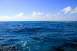 Atlantic Ocean, John Pennekamp Coral Reef State Park, Florida Keys