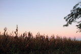 Sunrise, Sunset Lakes Resort, Joslin, IL
