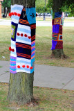 Keeping the trees warm, Logan Square, Chicago