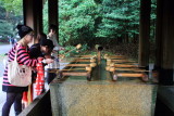 Chōzuya or temizuya, hand wash pavilion, Meiji Jingū, Shinto Shrine, built 1920, Shibuya, Tokyo, Japan