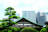 Edo Castle Gardens, Tokyo Imperial Palace, Tokyo, Japan