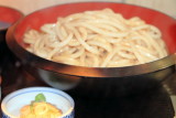 Udon noodles, Tokyo, Japan