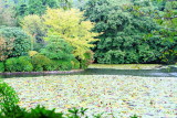 Kyoyochi Pond, Ryōan-ji, The Temple of the Dragon at Peace, Kyoto, Japan
