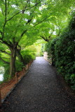 Peace, walkway, Ryōan-ji, The Temple of the Dragon at Peace, Kyoto, Japan