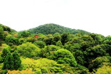Kiyomizu-dera, Kyoto, Japan