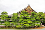 Ninomaru Palace, Nijo Castle, Kyoto, Japan