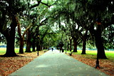Forsyth Park