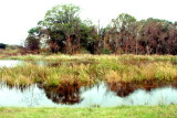 Savannah National Wildlife Refuge