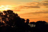 Sunrise, Atlantic Ocean, Sonesta Resort, Shipyard Plantation