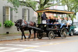 Horse Carriage Ride, Charleston Historic District