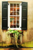 Window, Charleston Historic District