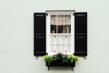 Window, Charleston Historic District