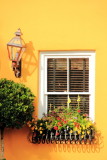 Window, Charleston Historic District