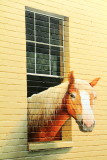 Window, Horse, Charleston Historic District