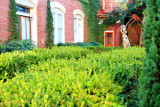 Residential garden, Charleston Historic District