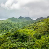 El Yunque National Rainforest, Puerto Rico