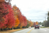 Long Grove, Chicago Fall colors, 2014