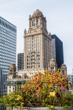 Jeweler's Building, from MDA City Apartments, Open House Chicago 2014