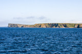 The cliffs of Orkney, Scotland