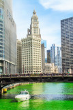 Wrigley Building, Chicago, St. Patrick's Day, 2015