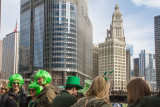 Green Hair, Chicago, St. Patrick's Day, 2015