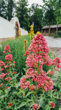 Gastatte Schneckenmatt, Gengenbach, Black Forest, Germany