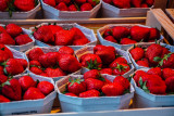 Strawberries, Munich, Bavaria, Germany